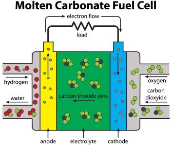 Molten carbonate fuel cell